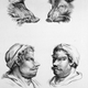 Illustration for article titled Baroque-Era Drawings Reveal Early Ideas About Evolution